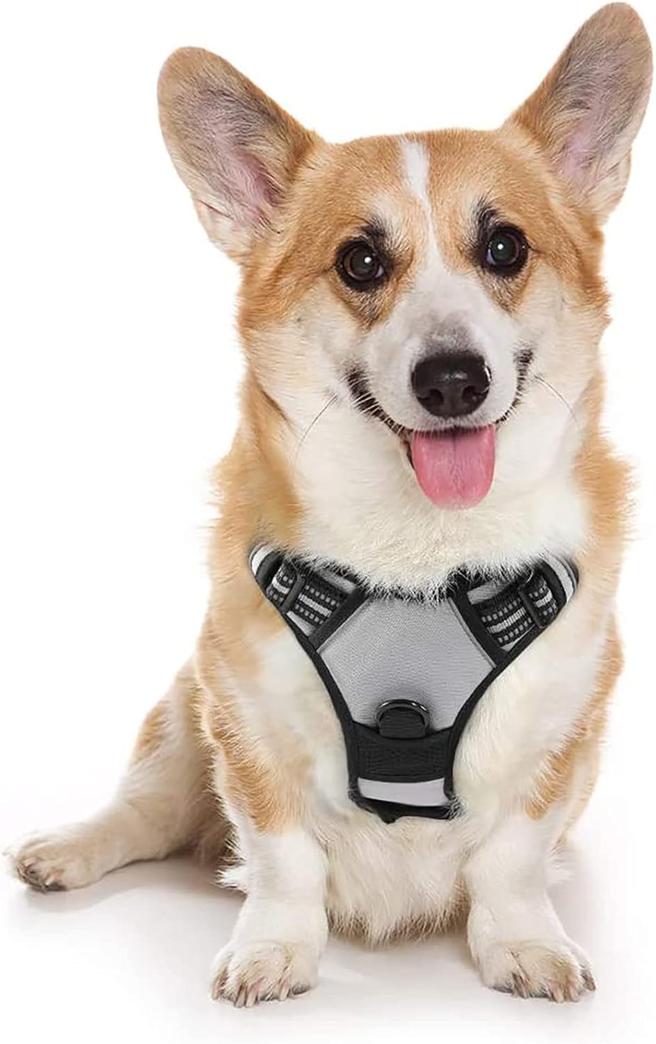rabbitgoo Dog Harness Dog No Pull Pet Harness | ObaPet