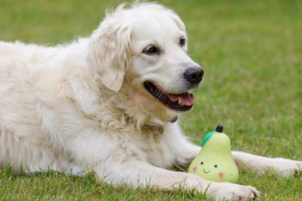 Petface Latex Apple Soft Chew Dog Toy, Large