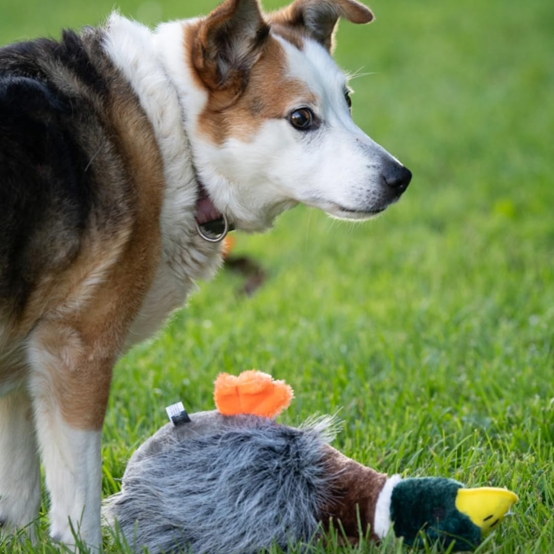 Petface Heston Hedgehog Plush Dog Toy (Pack of 1)