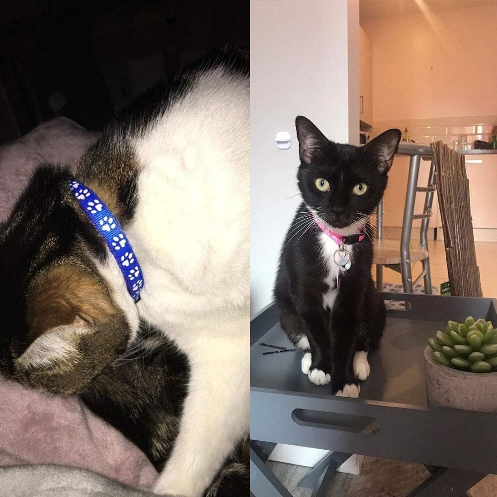 Reflective Cat Collars with Bells, Safe Quick | ObaPet