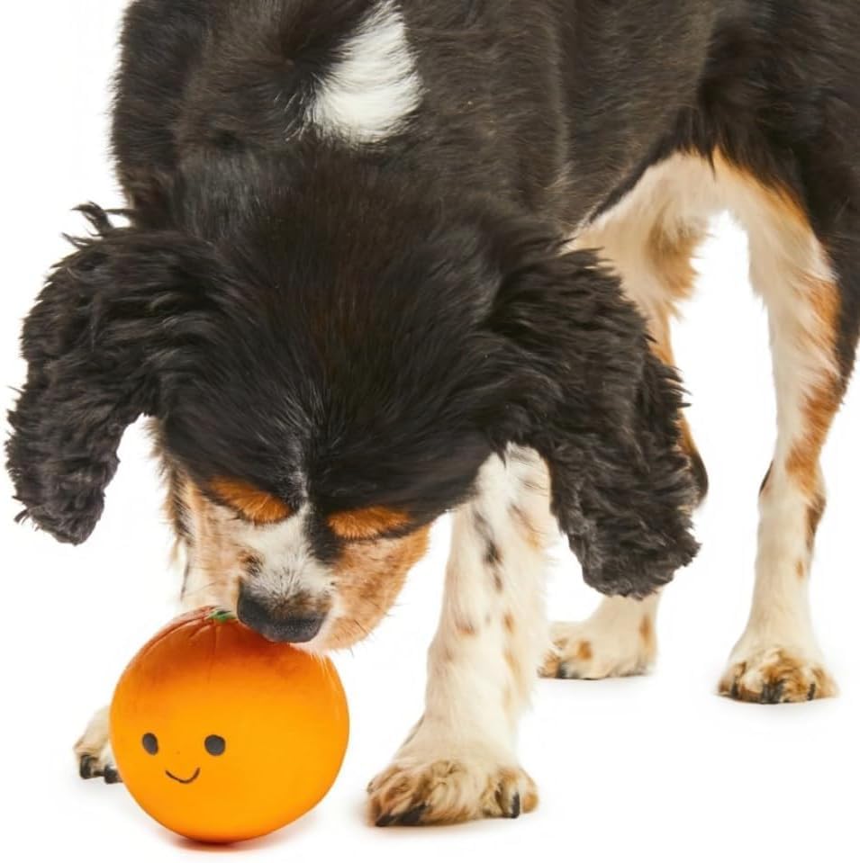 Petface Latex Apple Soft Chew Dog Toy, Large