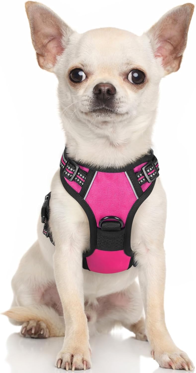 rabbitgoo Dog Harness Dog No Pull Pet Harness | ObaPet