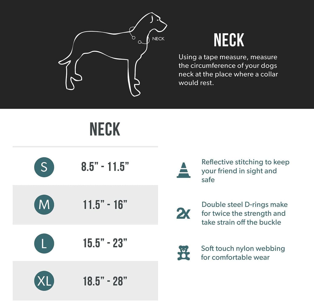 EZYDOG Double Up Dog Collar | ObaPet