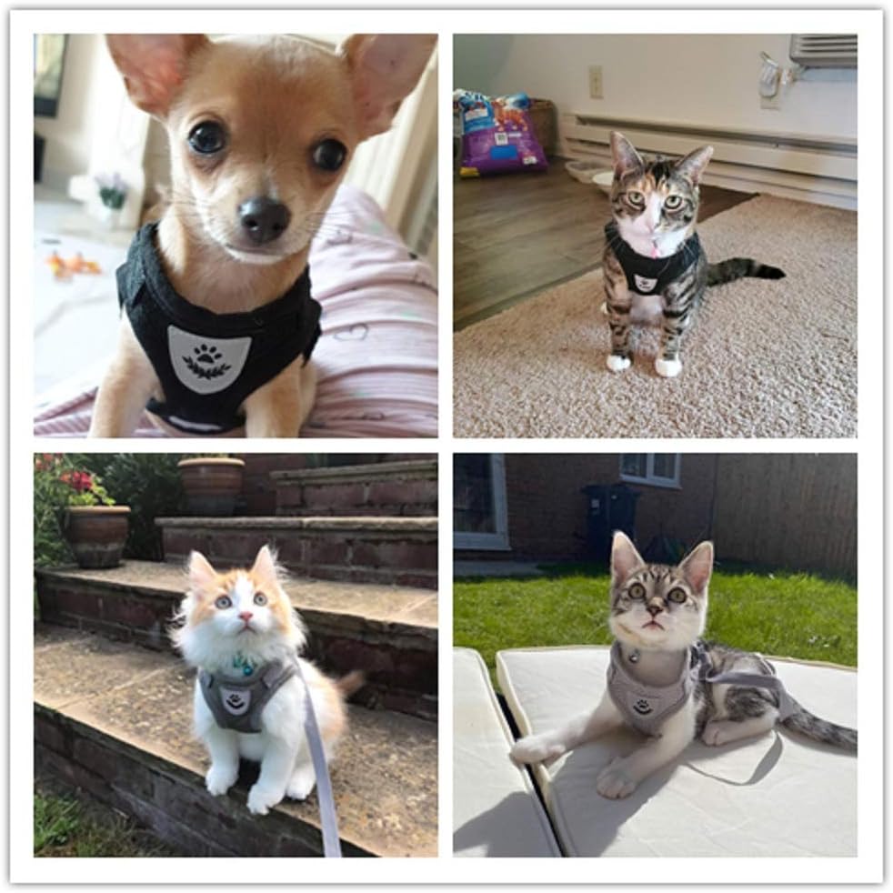 Anlitent Soft Mesh No Pull Cat Harness and Lead | ObaPet