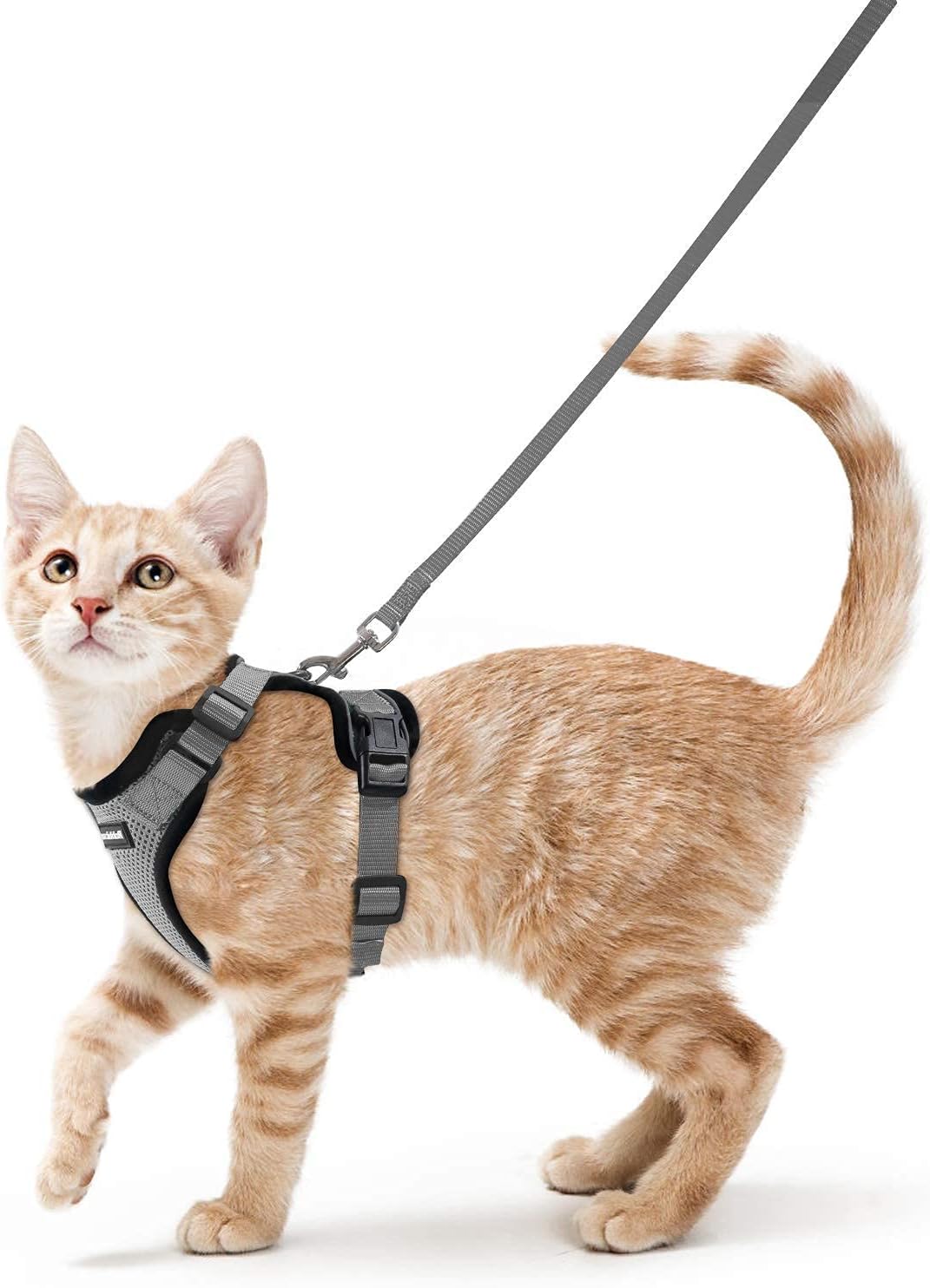 rabbitgoo Cat Harness and Lead Set, Escape Proof | ObaPet