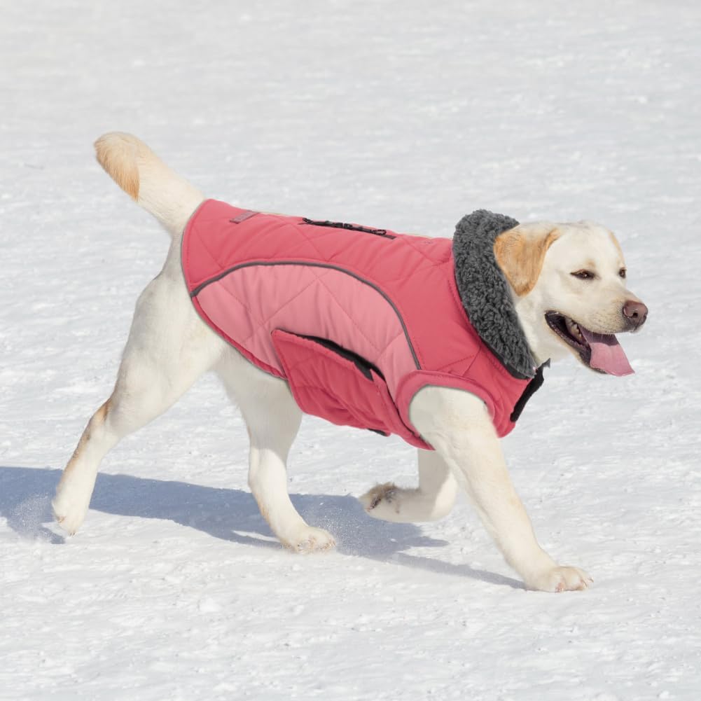 EMUST Winter Dog Coats, Fleece Dog Apparel for Cold Weather, British Style Windproof Warm Dog Jacket for Small Dog Coats for Winter, Dark Blue, XS