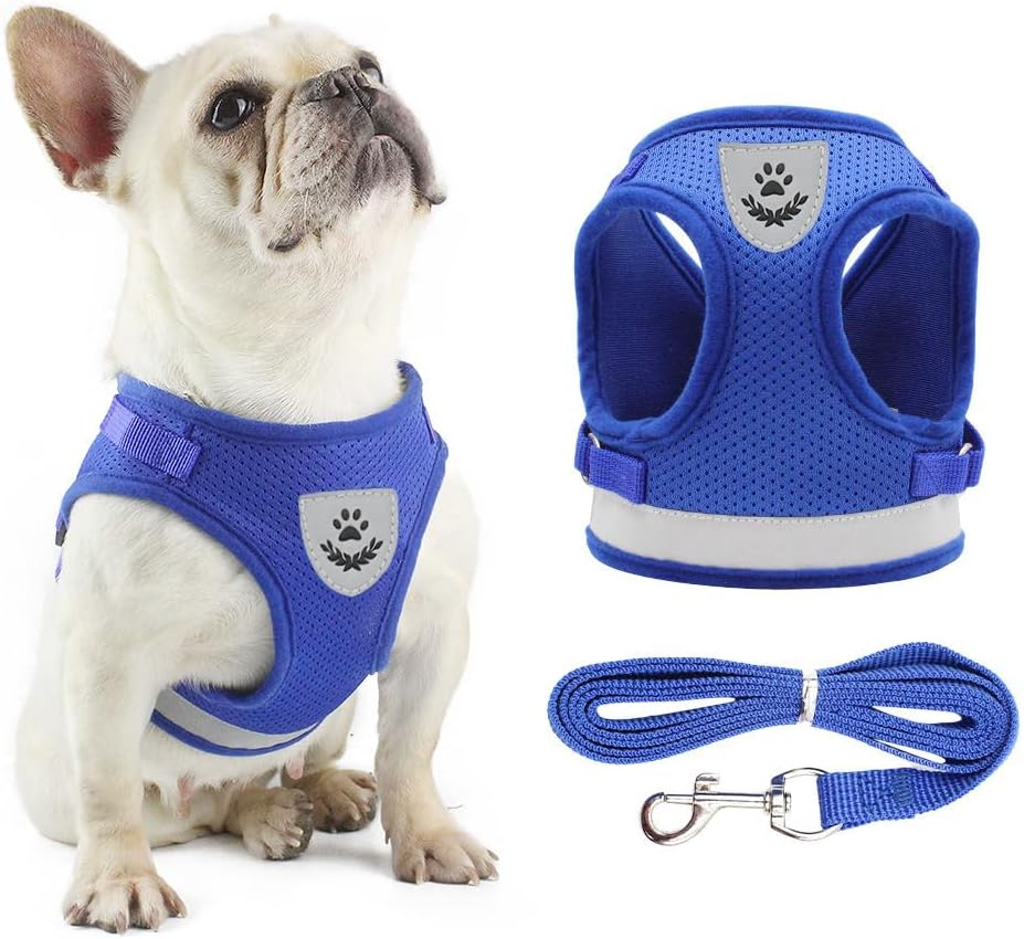 Anlitent Soft Mesh No Pull Cat Harness and Lead | ObaPet
