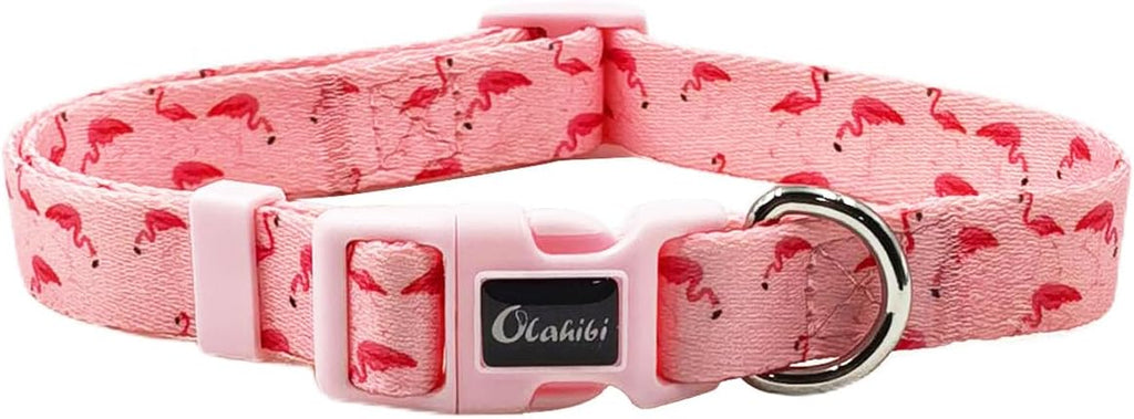 Olahibi Daisy Pattern Dog Collar and Leash | ObaPet