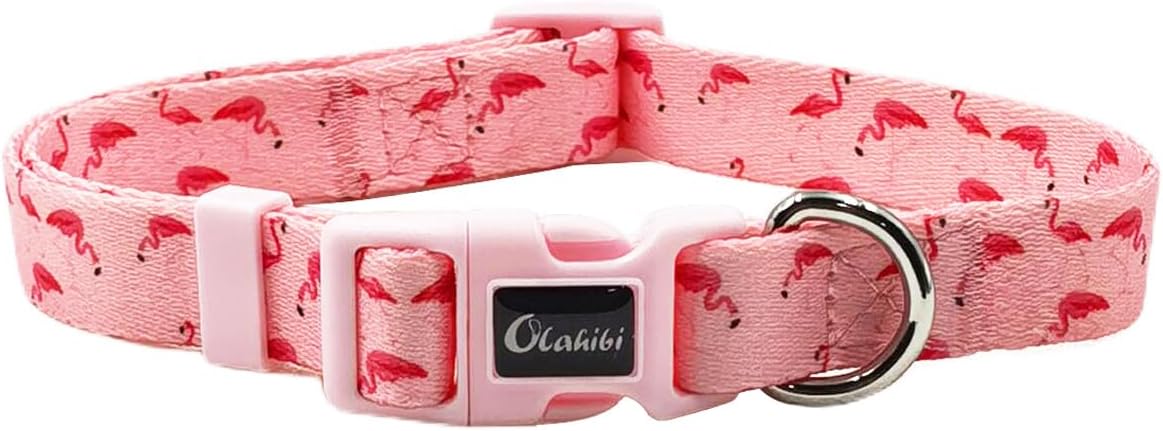 Olahibi Daisy Pattern Dog Collar and Leash | ObaPet