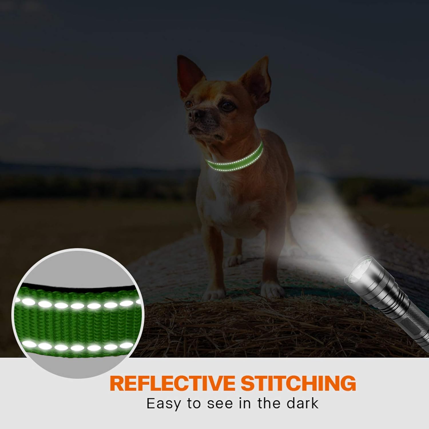 Taglory Reflective Nylon Dog Collar with Safety | ObaPet