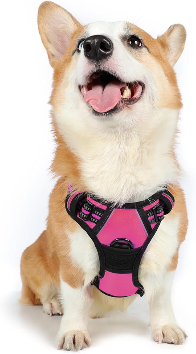 rabbitgoo Dog Harness Dog No Pull Pet Harness | ObaPet