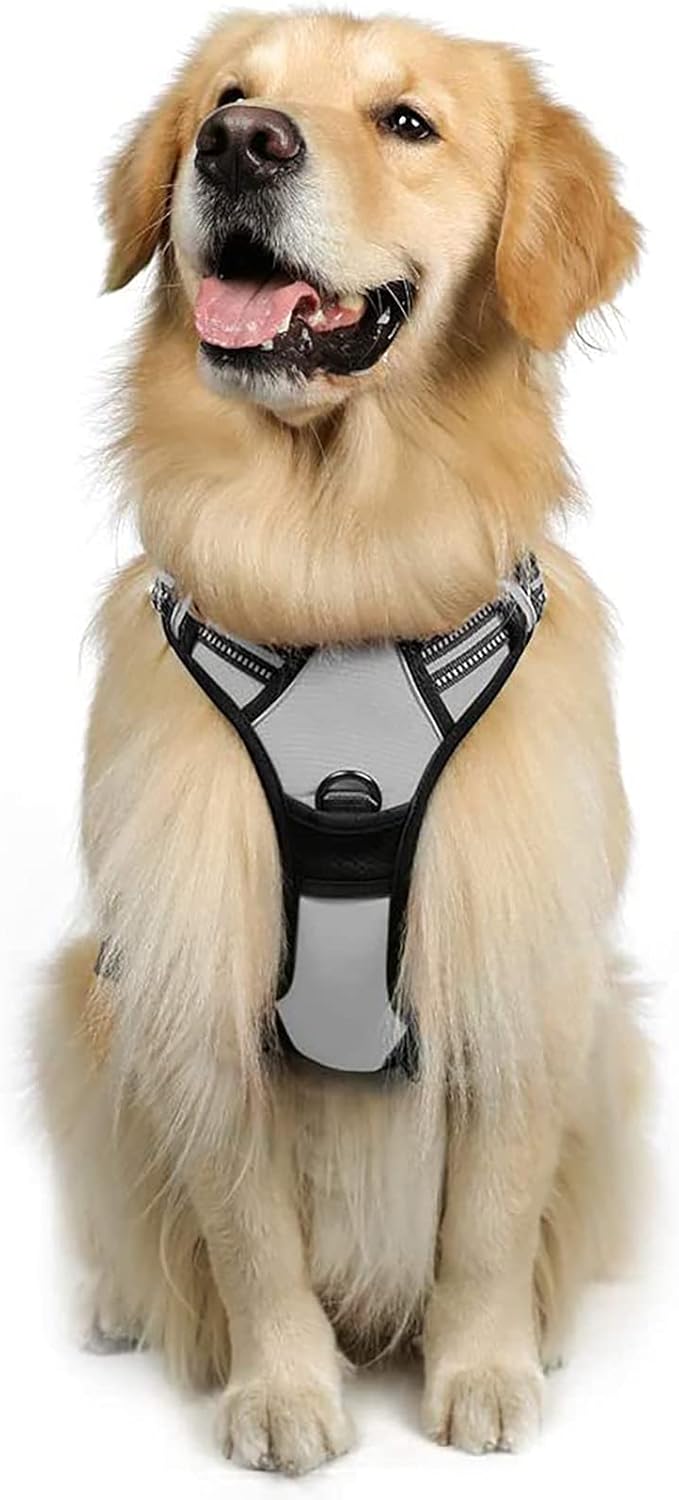 rabbitgoo Dog Harness Dog No Pull Pet Harness | ObaPet