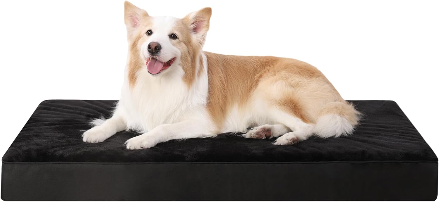 KSIIA Dog Beds Large Washable, Orthopedic Dog | ObaPet