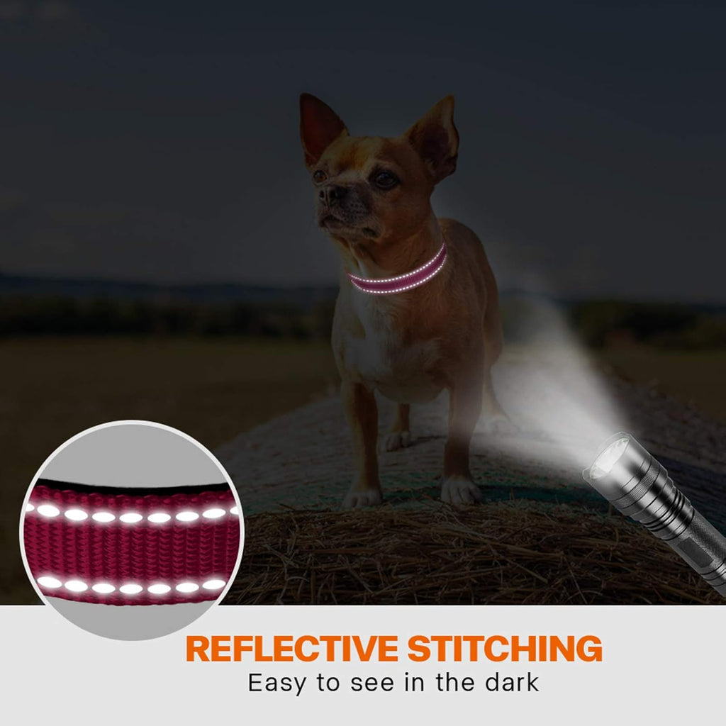 Taglory Reflective Nylon Dog Collar with Safety | ObaPet