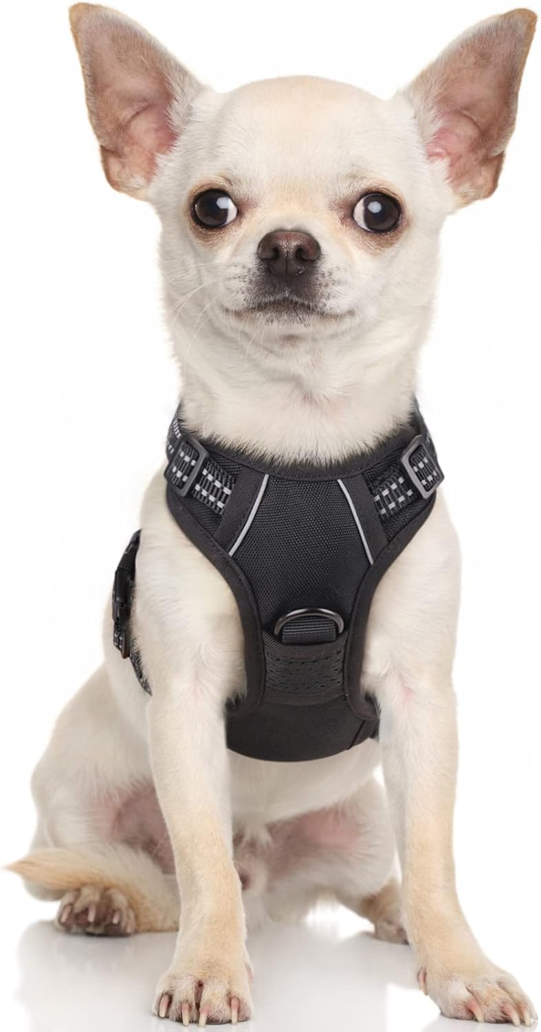rabbitgoo Dog Harness Dog No Pull Pet Harness | ObaPet