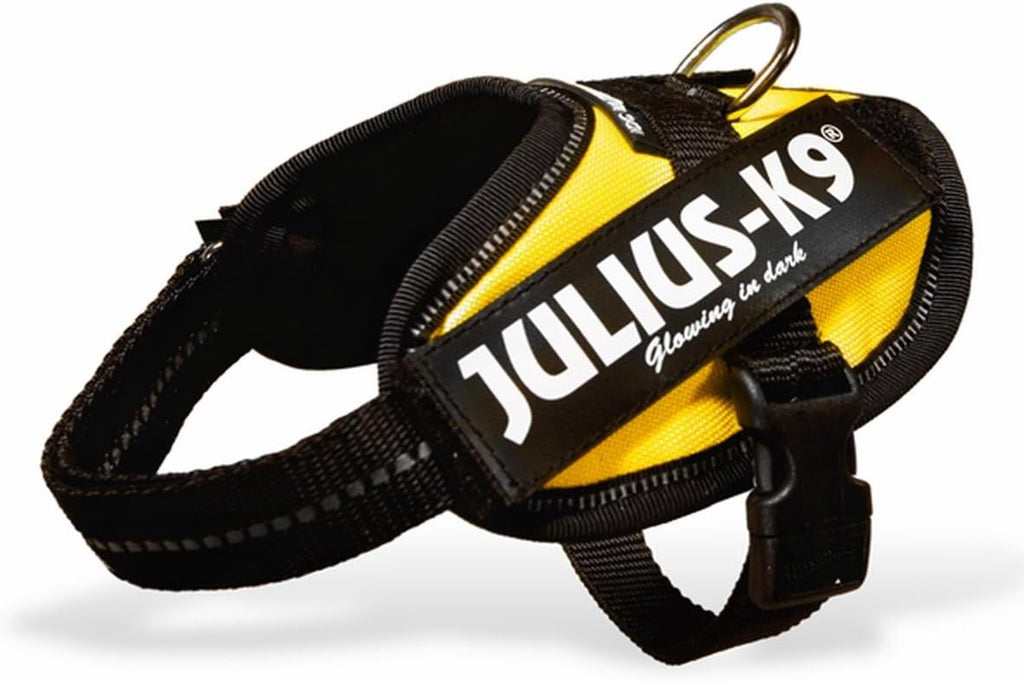 Julius-K9, 16IDC-P-0, IDC Powerharness, dog | ObaPet