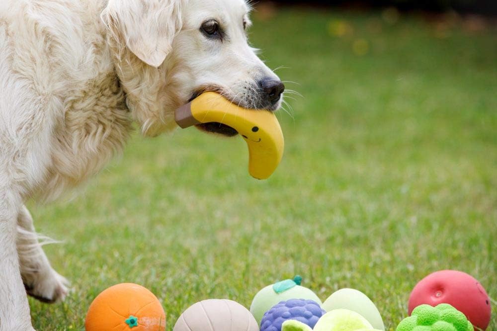 Petface Latex Apple Soft Chew Dog Toy, Large