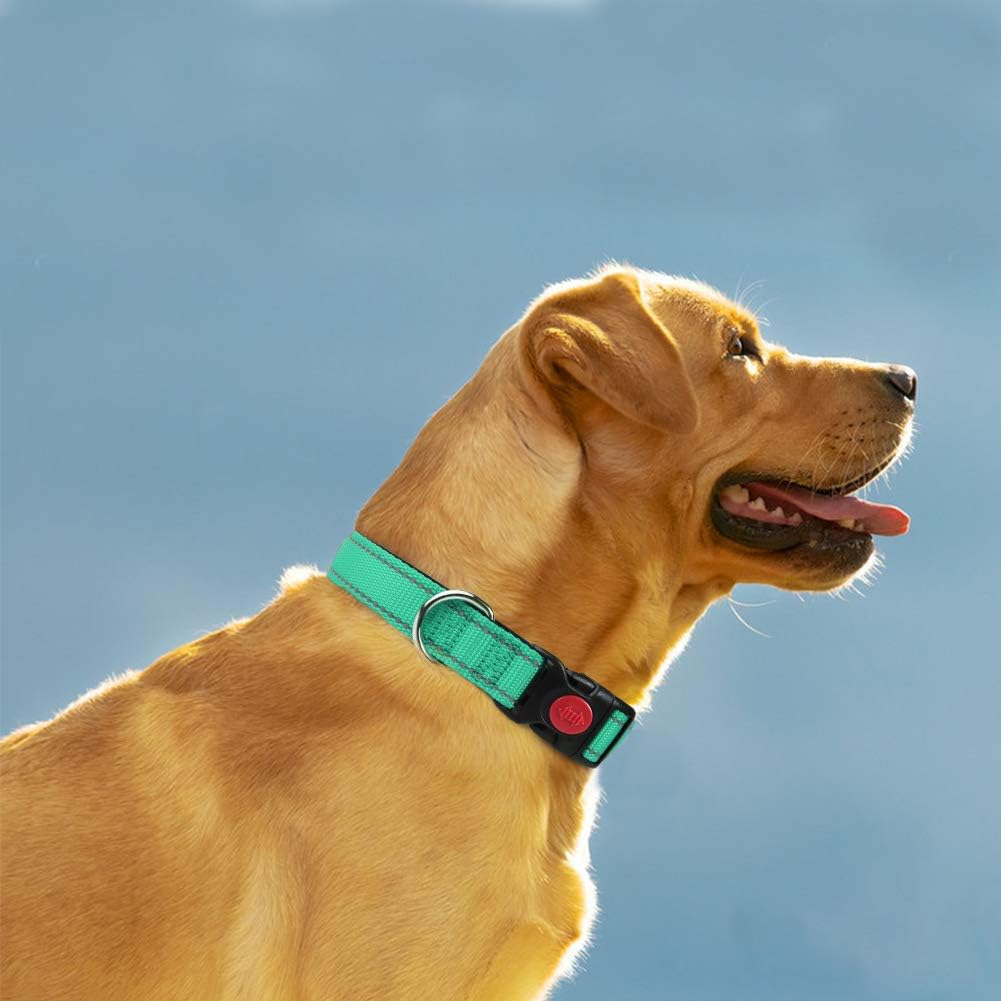 Taglory Reflective Nylon Dog Collar with Safety | ObaPet