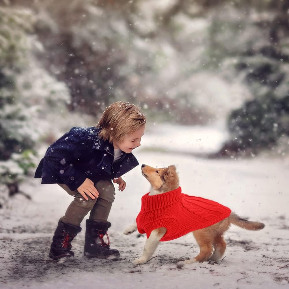 Small Dog Jumper, Warm Puppy Sweater for Small | ObaPet