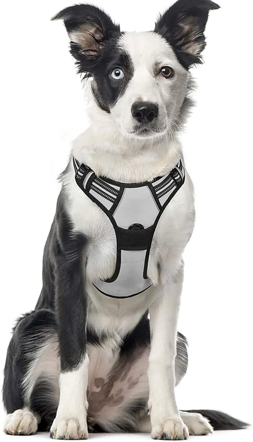 rabbitgoo Dog Harness Dog No Pull Pet Harness | ObaPet