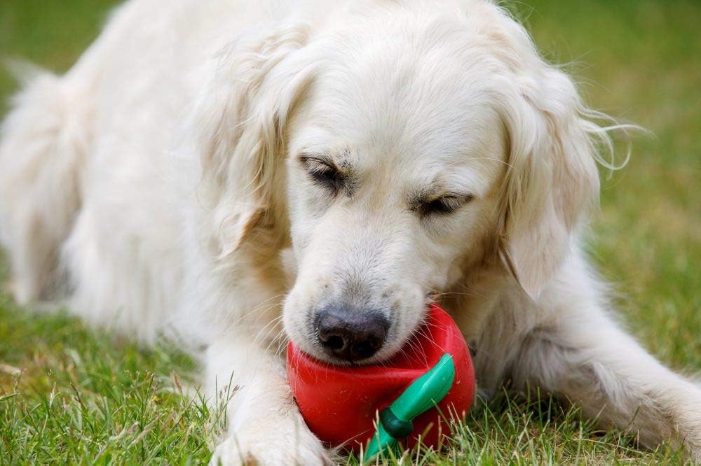 Petface Latex Apple Soft Chew Dog Toy, Large