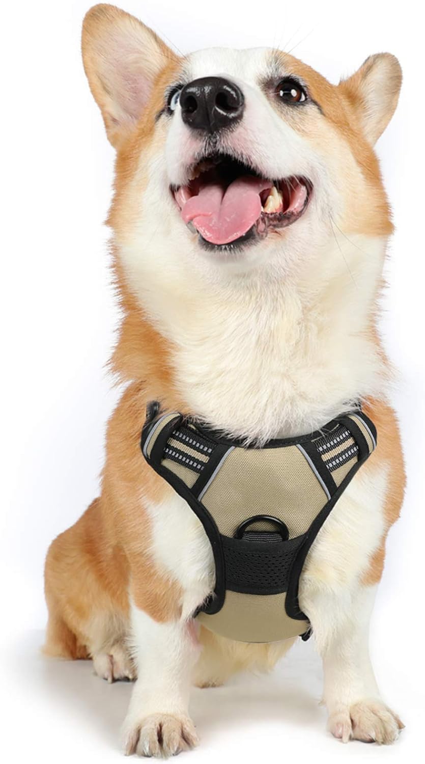 rabbitgoo Dog Harness Dog No Pull Pet Harness | ObaPet