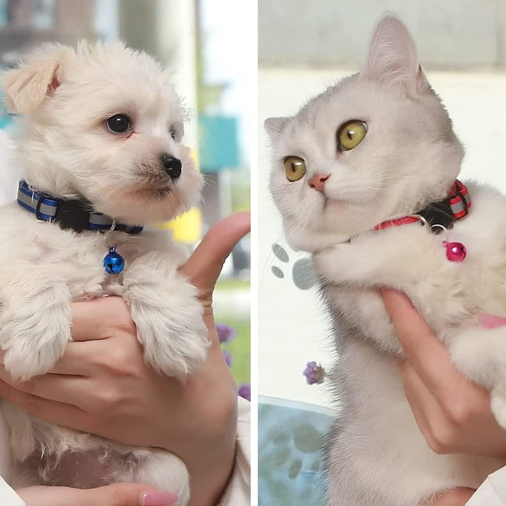 GingerUPer Cat Collars Quick Release,Reflective | ObaPet