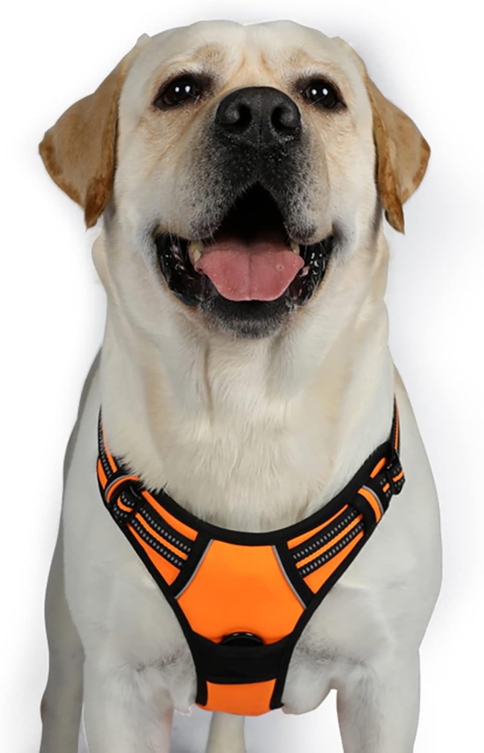 rabbitgoo Dog Harness Dog No Pull Pet Harness | ObaPet