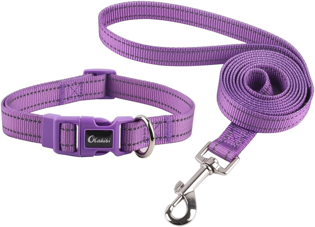 Olahibi Daisy Pattern Dog Collar and Leash | ObaPet