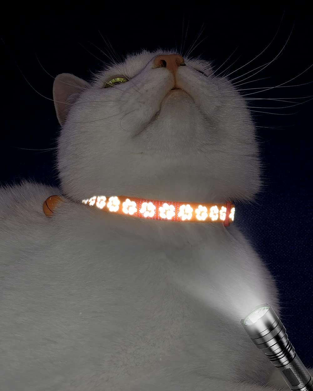 Taglory Reflective Cat Collar with Bell and | ObaPet