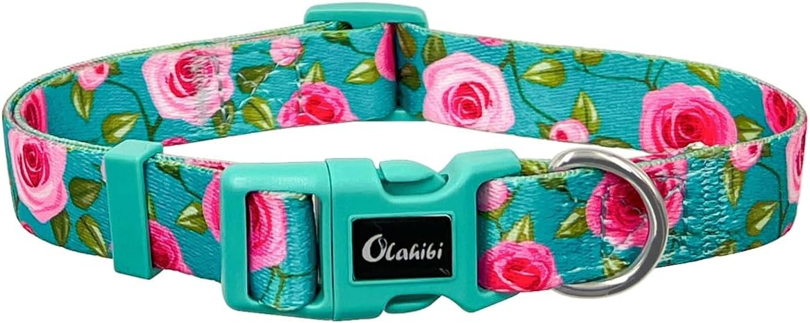 Olahibi Daisy Pattern Dog Collar and Leash | ObaPet