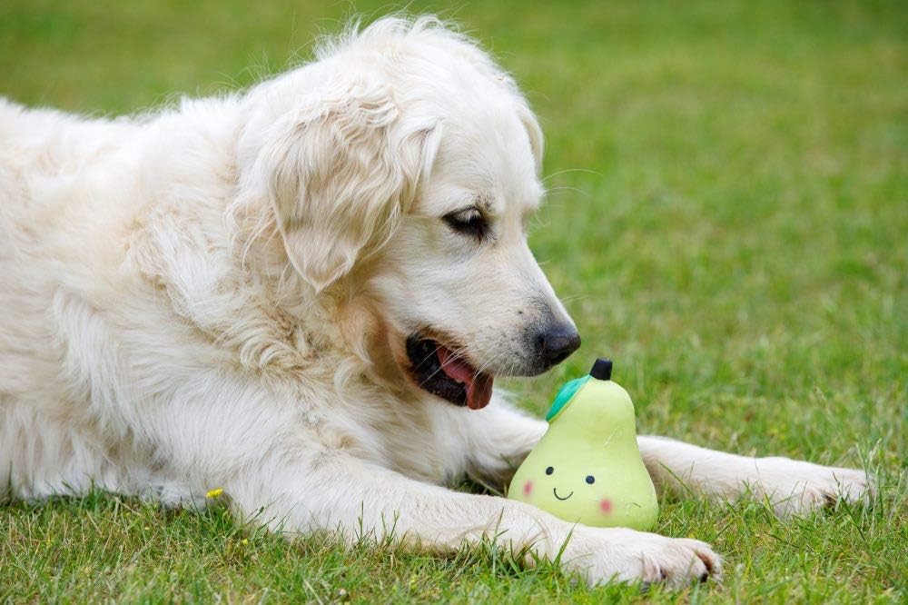 Petface Latex Apple Soft Chew Dog Toy, Large