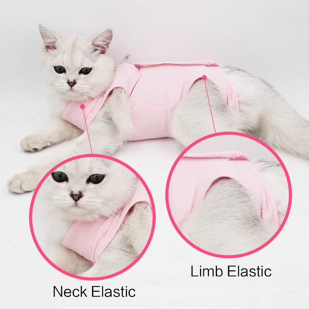 Cat Professional Recovery Suit for Abdominal | ObaPet