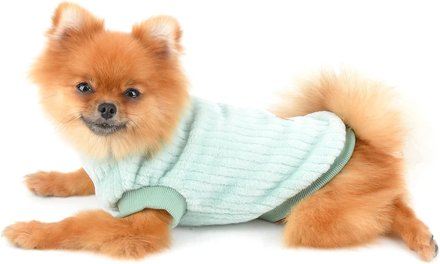 SMALLLEE_LUCKY_STORE Pet Ribbed Fleece Jumpers Pullover Sweatshirt for Small Dogs Cat,Puppy Yorkie Chihuahua Warm Sweater Winter Clothes