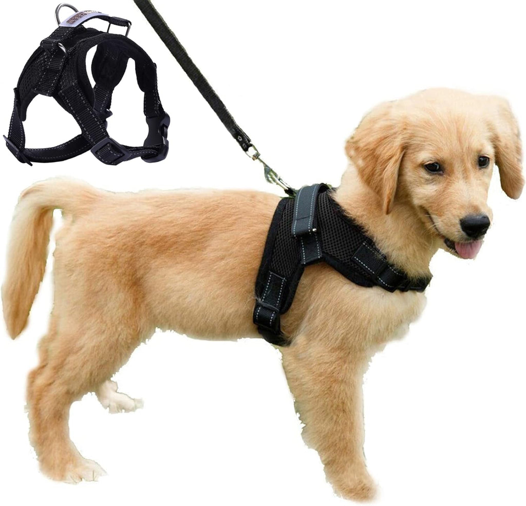 Dog Harness Mesh Breathable Comfortable Pet Vest | ObaPet