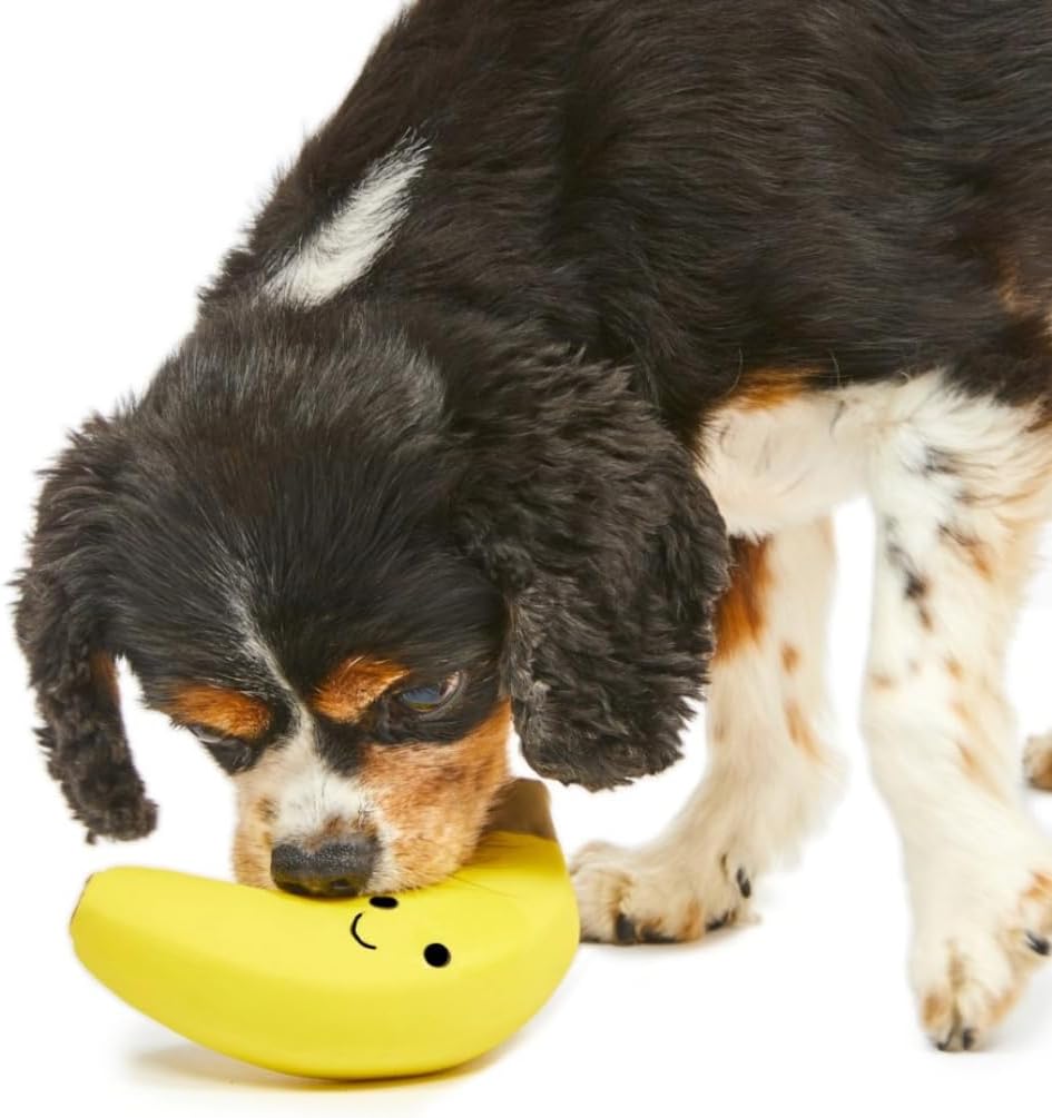 Petface Latex Apple Soft Chew Dog Toy, Large