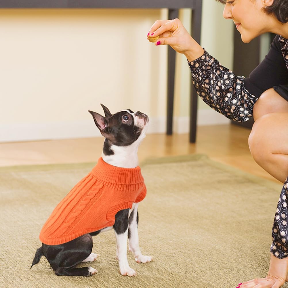 Small Dog Jumper, Warm Puppy Sweater for Small | ObaPet