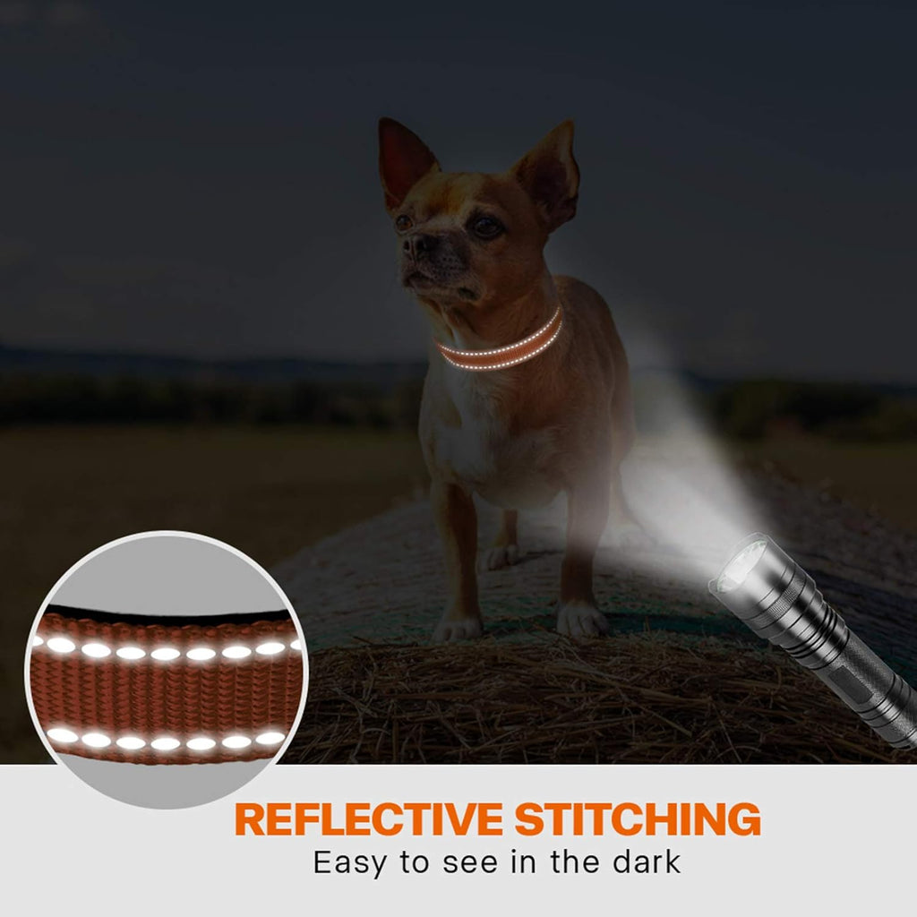 Taglory Reflective Nylon Dog Collar with Safety | ObaPet