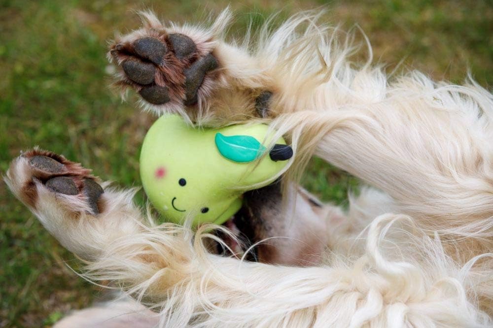 Petface Latex Apple Soft Chew Dog Toy, Large