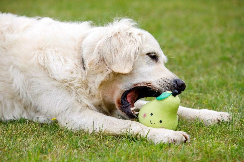 Petface Latex Apple Soft Chew Dog Toy, Large
