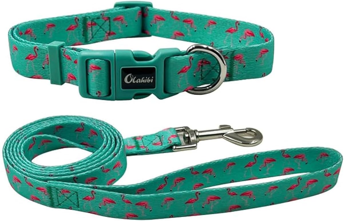 Olahibi Daisy Pattern Dog Collar and Leash | ObaPet