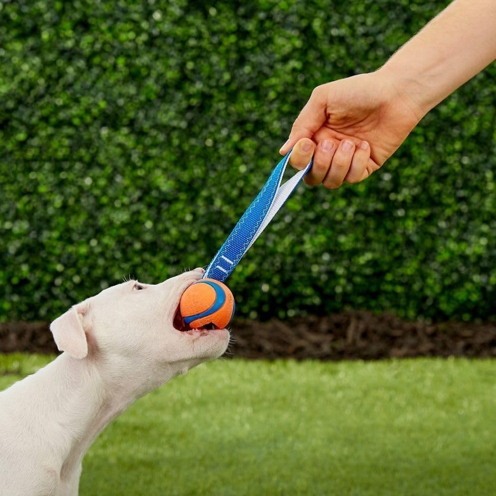Chuckit! Ultra Tug Dog Toy With Rubber Ball Tug Of War Interactive Fetch Toy for Dogs, Medium