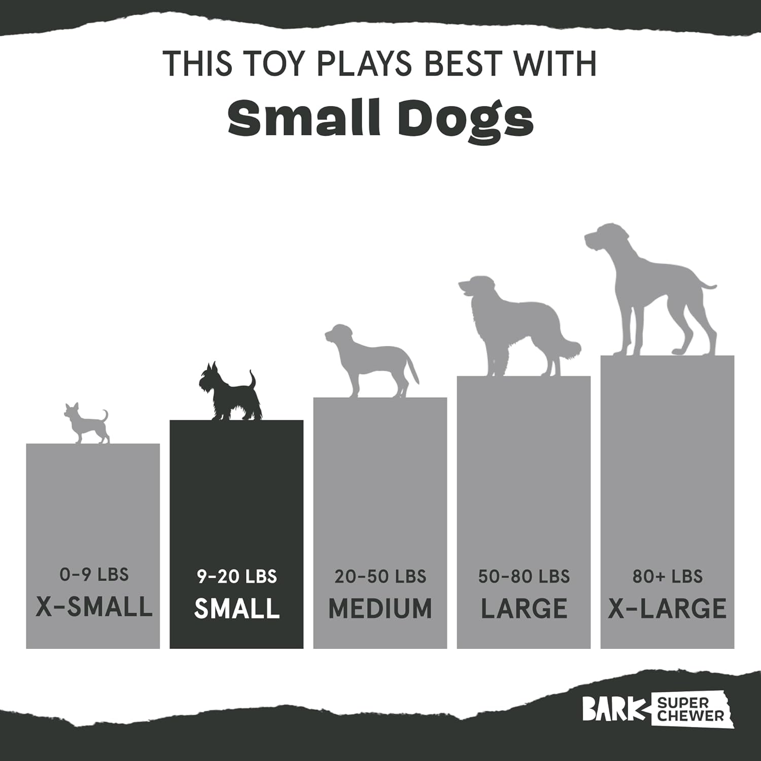 Barkbox Squeaky Dog Toys - Plush and Squeak Chew Toys | Puppy and Pet Toys for Large Dogs Pinata - Large
