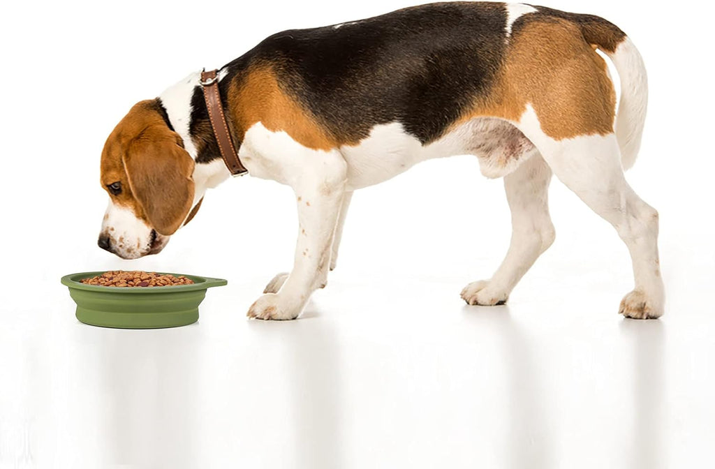 SLSON 2 Pack Dog Collapsible Bowl Large Portable | ObaPet