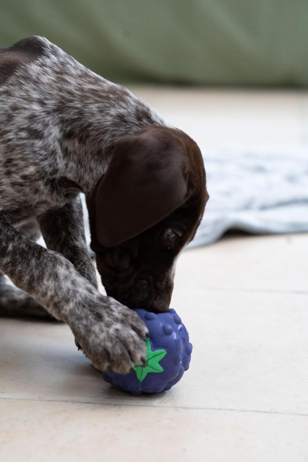 Petface Latex Apple Soft Chew Dog Toy, Large