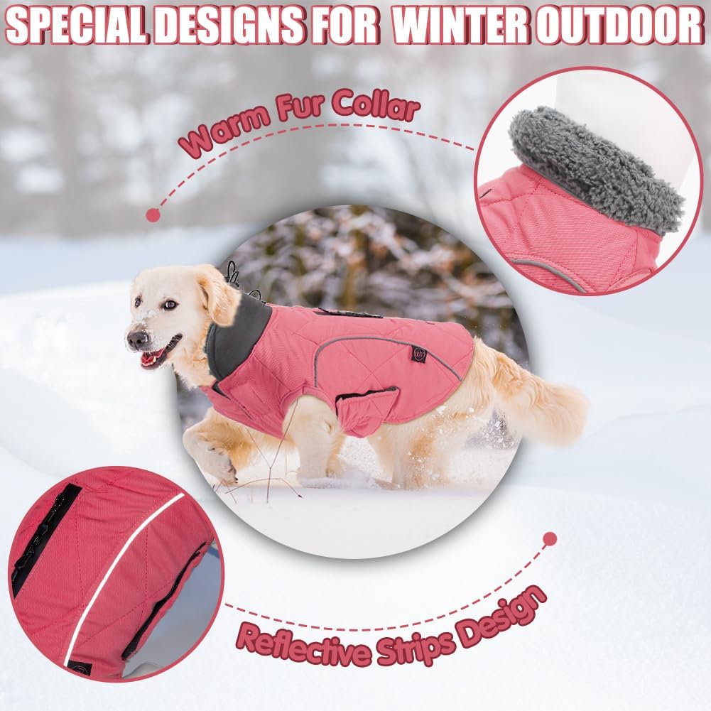 EMUST Winter Dog Coats, Fleece Dog Apparel for Cold Weather, British Style Windproof Warm Dog Jacket for Small Dog Coats for Winter, Dark Blue, XS