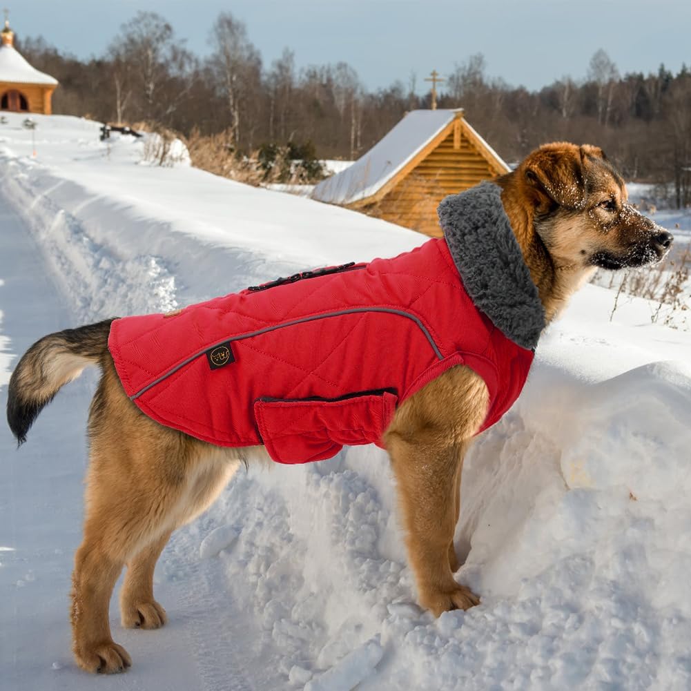 EMUST Winter Dog Coats, Fleece Dog Apparel for Cold Weather, British Style Windproof Warm Dog Jacket for Small Dog Coats for Winter, Dark Blue, XS