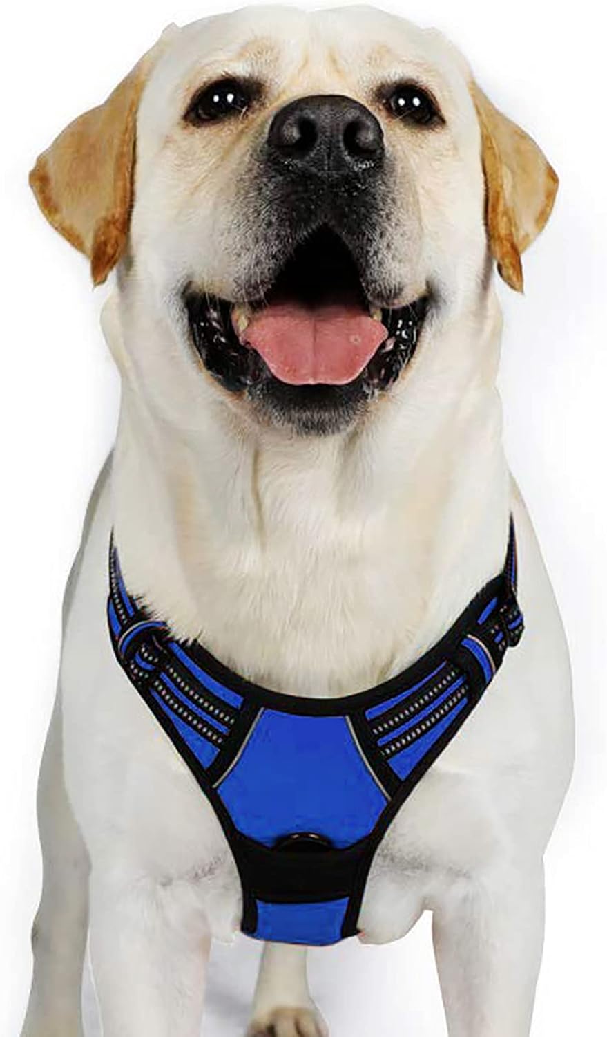 rabbitgoo Dog Harness Dog No Pull Pet Harness | ObaPet