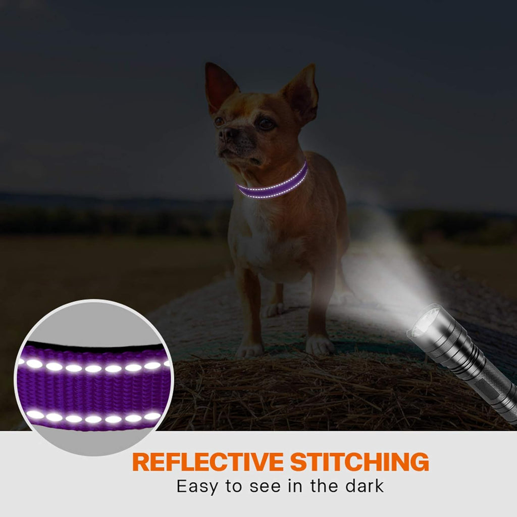Taglory Reflective Nylon Dog Collar with Safety | ObaPet