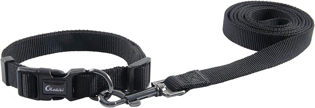 Olahibi Daisy Pattern Dog Collar and Leash | ObaPet